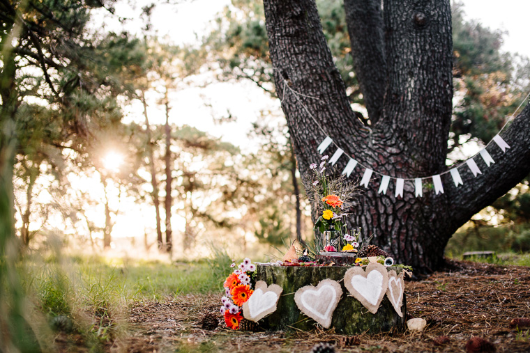 Carly & Lee's Woodland Picnic Prewedding