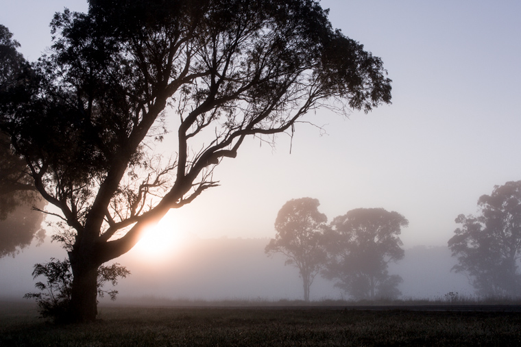 Philippa & Anurag's Bendooley Estate Wedding, Berrima