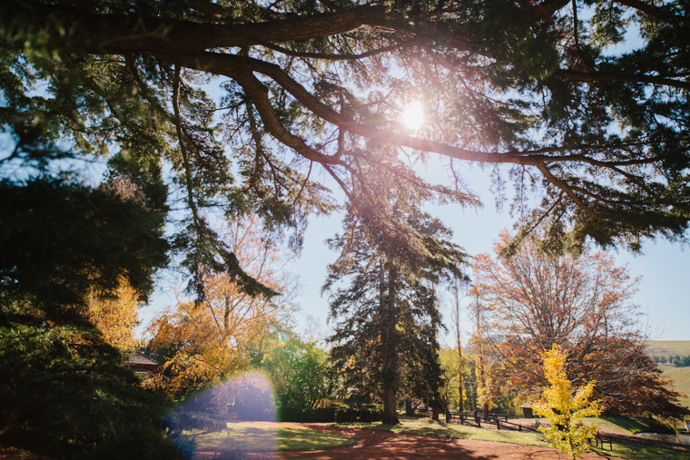 Philippa & Anurag's Bendooley Estate Wedding, Berrima