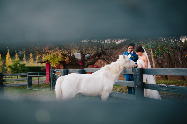 Philippa & Anurag's Bendooley Estate Wedding, Berrima