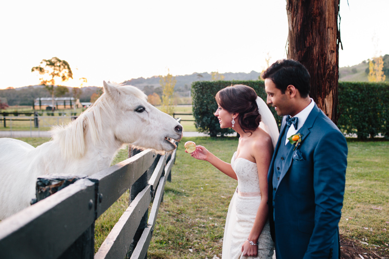 Philippa & Anurag's Bendooley Estate Wedding, Berrima