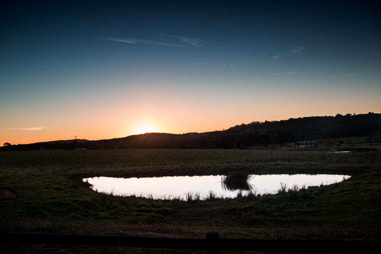 Philippa & Anurag's Bendooley Estate Wedding, Berrima