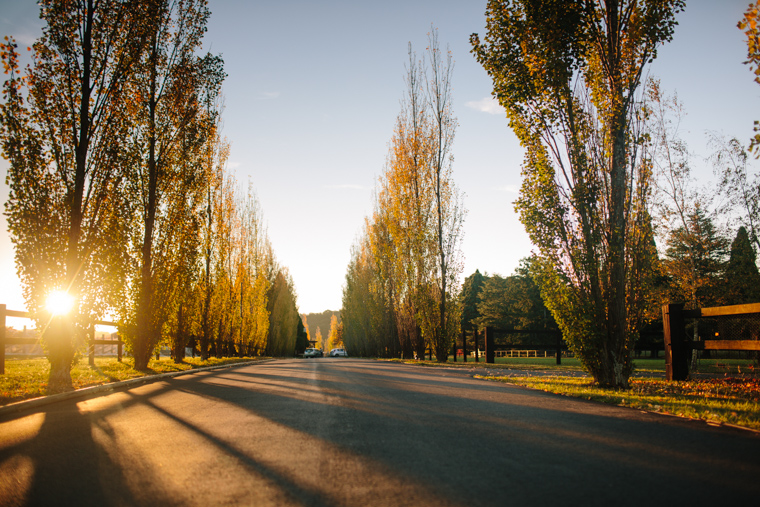 Philippa & Anurag's Bendooley Estate Wedding, Berrima (Day 1)