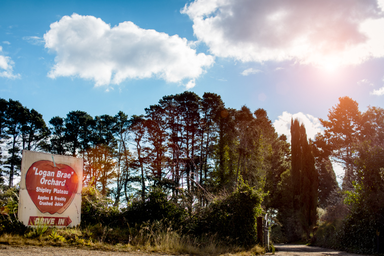 Melissa & Tom's Logan Brae Apple Orchid Prewedding