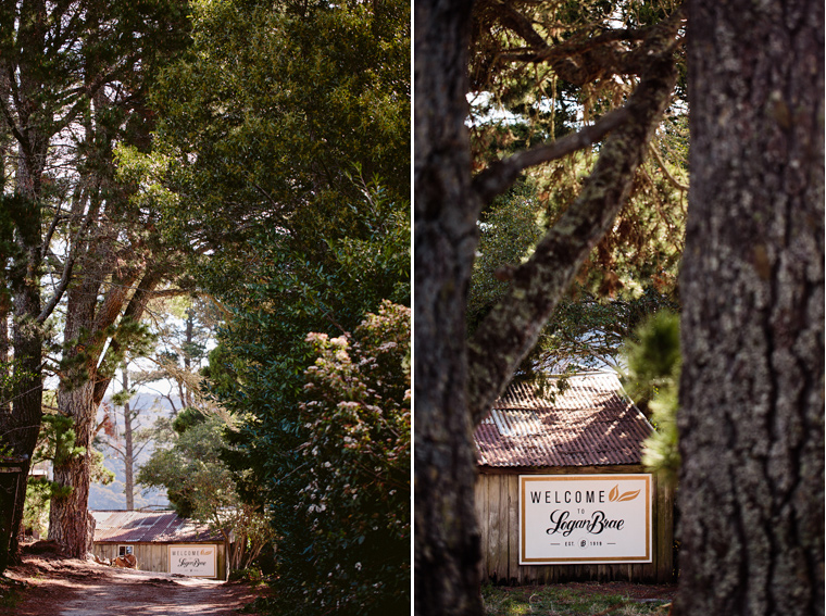 Melissa & Tom's Logan Brae Apple Orchard Prewedding