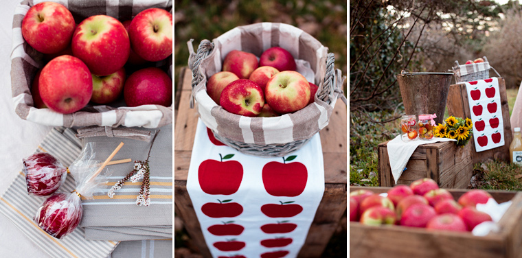 Melissa & Tom's Logan Brae Apple Orchard Prewedding