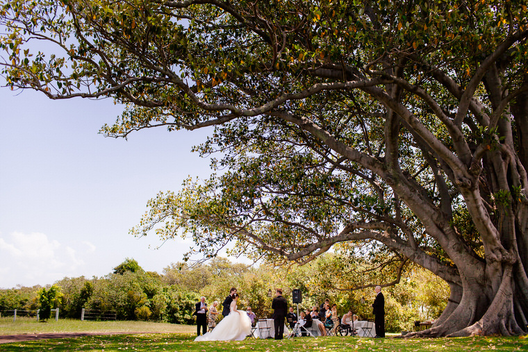 Brianna & Sam's Country Wedding at Stanley Park