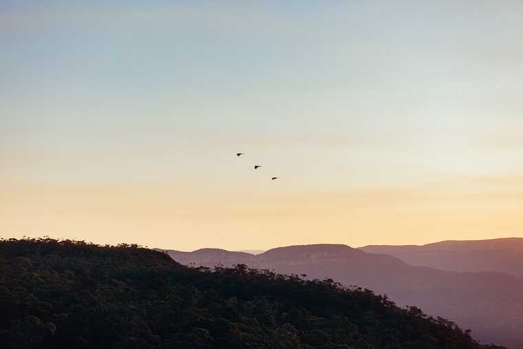 Ella & Garth's Yester Grange Wedding, The Blue Mountains