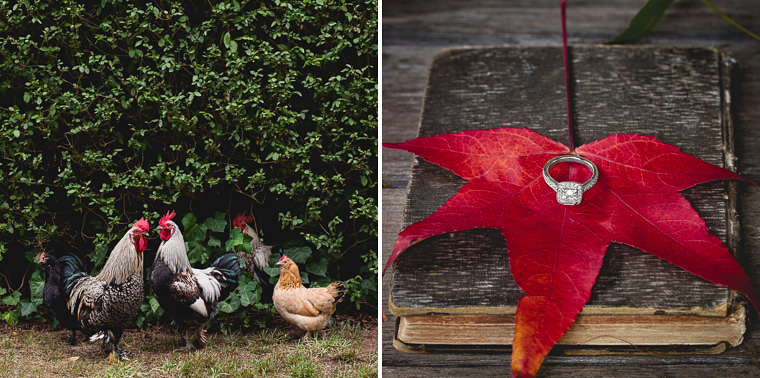 Country wedding at Somerley House, Sutton Forrest