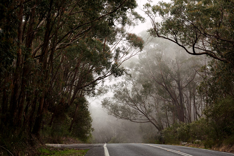 Wedding at Kangaroo Valley Bush Retreat