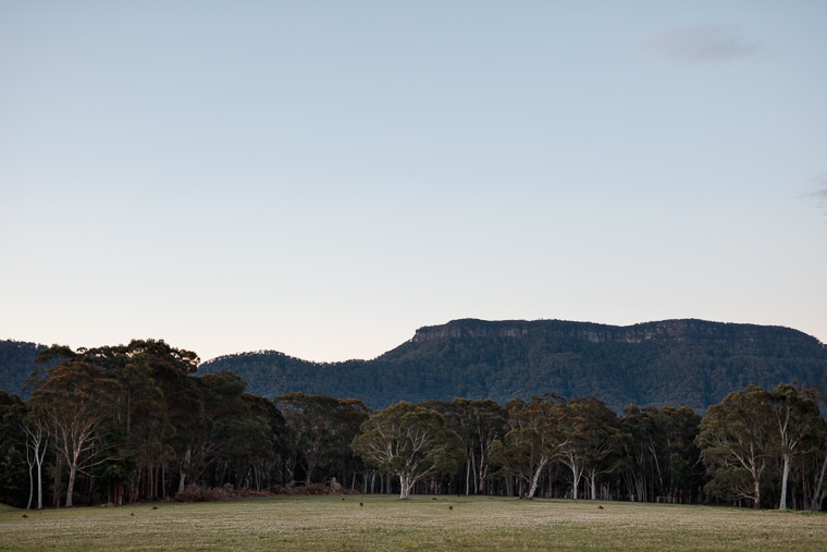 Wedding at Kangaroo Valley Bush Retreat