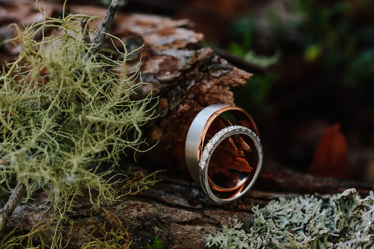 Wedding at Kangaroo Valley Bush Retreat