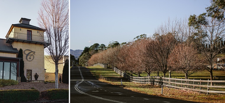 Same sex wedding at Centennial Vineyards, Bowral. Gay, lesbian and lgbti friendly Australian wedding photographers.