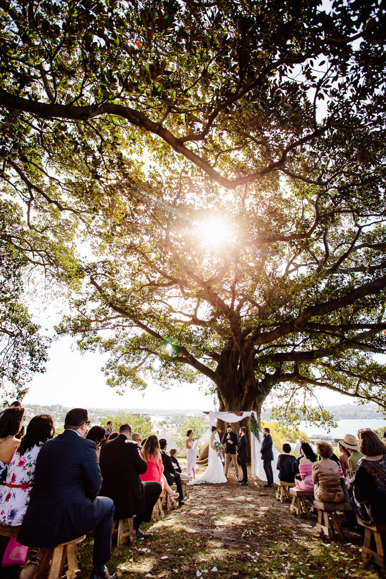 Wedding at Observatory Hill, Sydney and Doltone House Loft, Jones Bay Wharf.