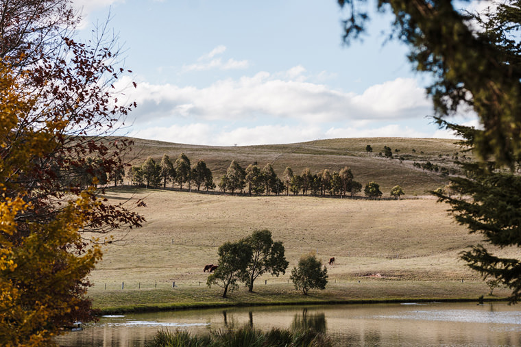 Sarah & Dan's winter wedding photos at Bendooley Estate's Book Barn in Berrima.