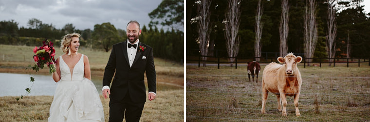 Sarah & Dan's winter wedding photos at Bendooley Estate's Book Barn in Berrima.