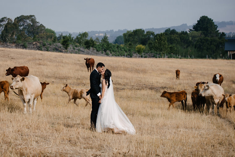 The Stables at Bendooley Estate, wedding photos in the Southern Highlands