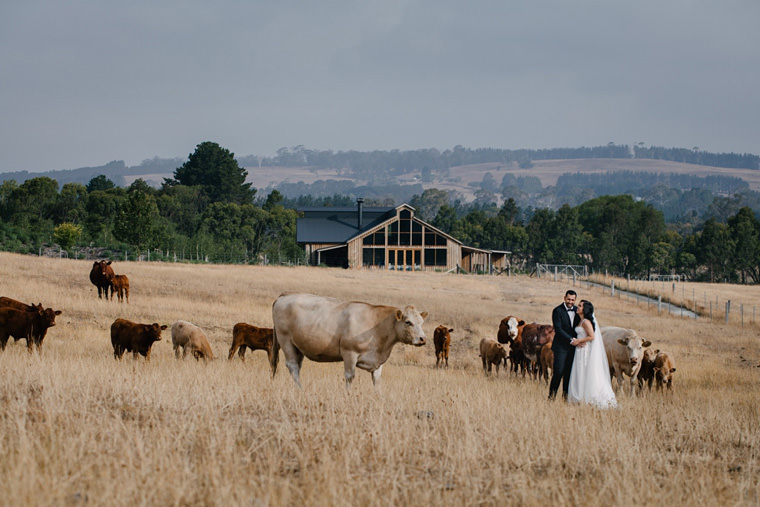 The Stables at Bendooley Estate, wedding photos in the Southern Highlands