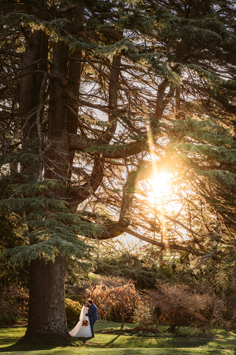 Epic sunset photo of the Milton Park gardens.