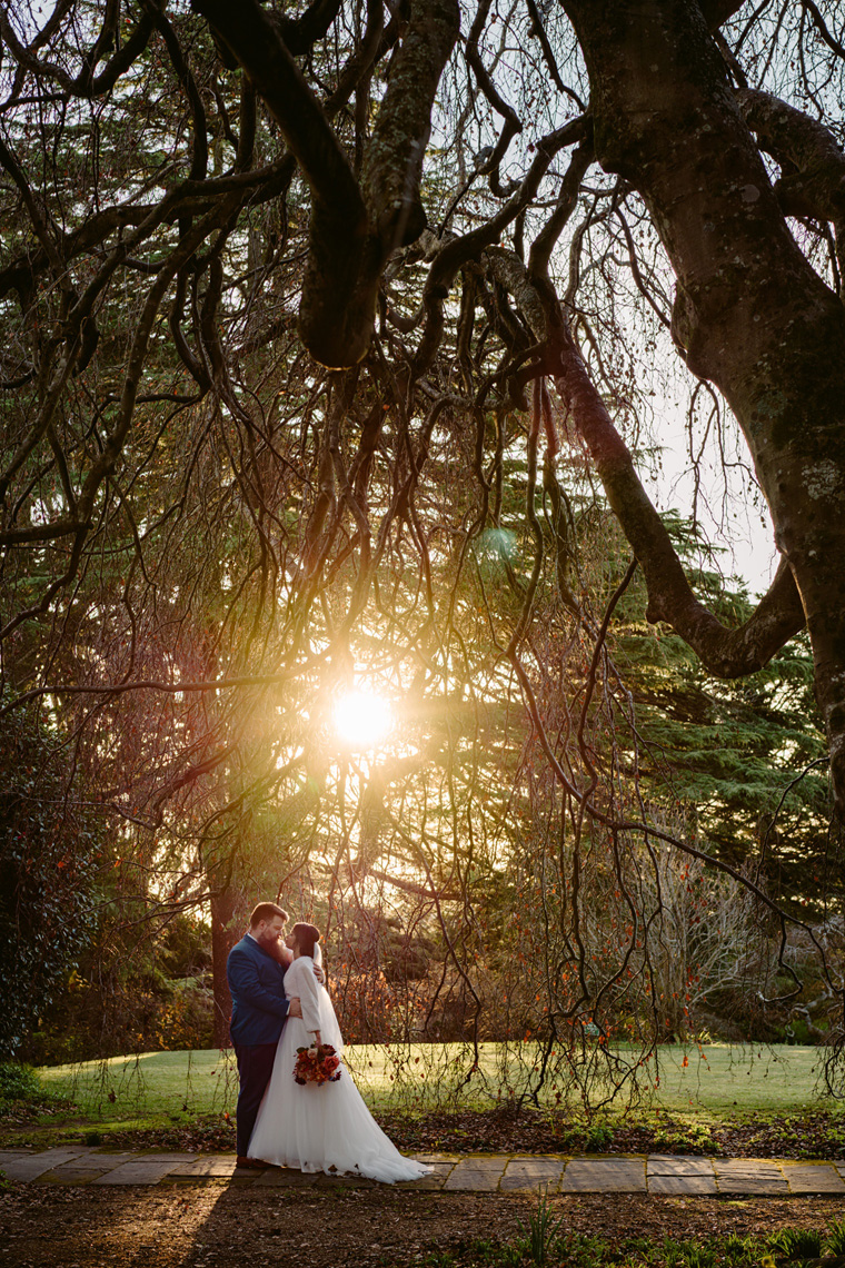 Couple kiss under the weeping willow tree.