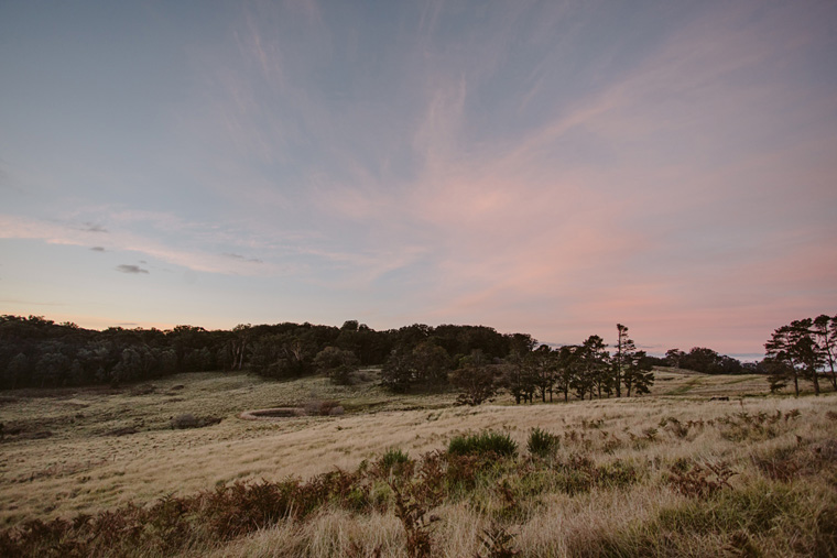 Open field at sunset.