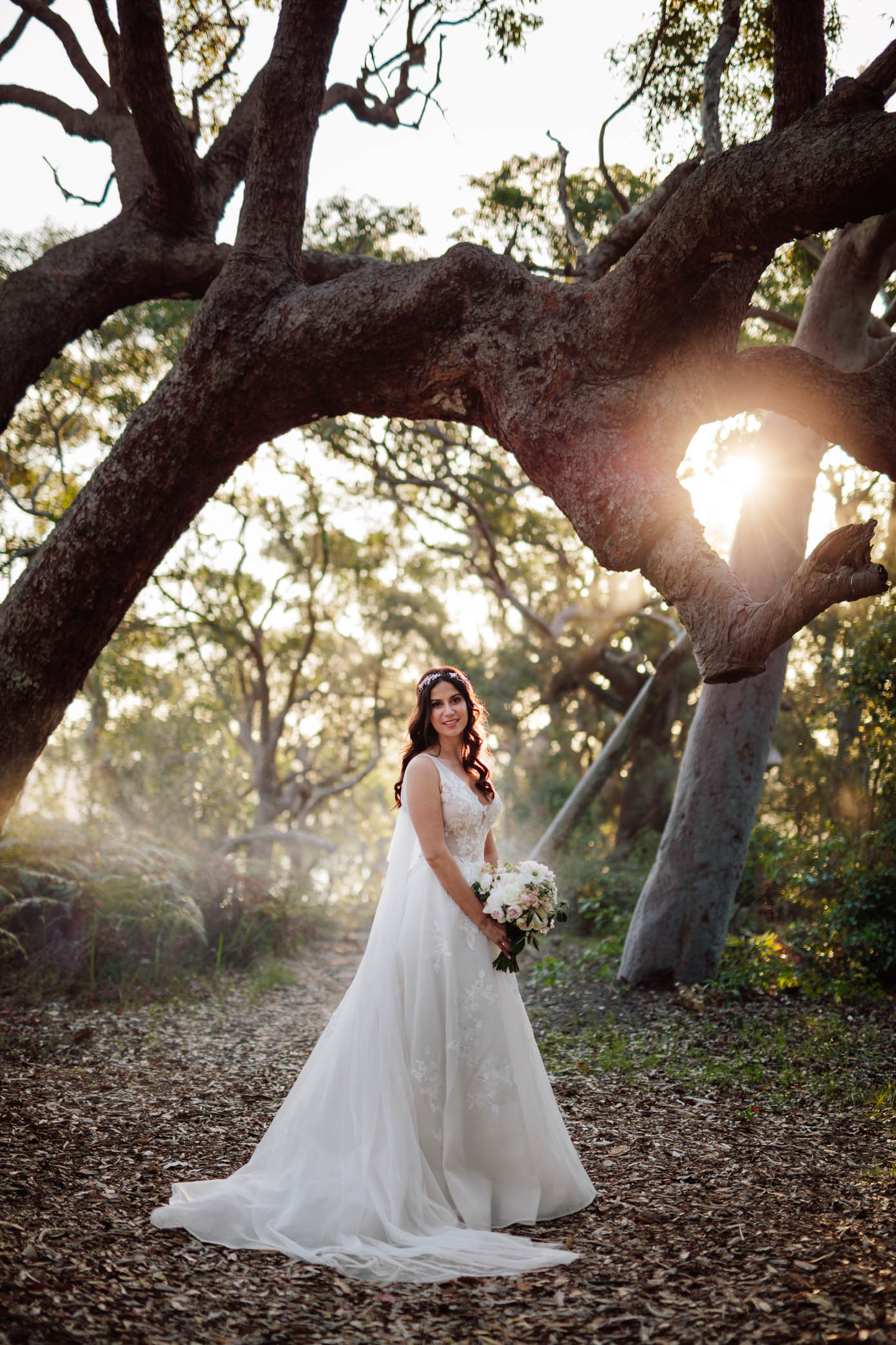 The bride and groom pose under a sprawling tree, bathed in golden afternoon light.